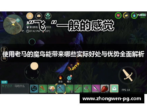 使用老马的魔鸟能带来哪些实际好处与优势全面解析