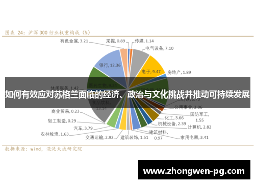 如何有效应对苏格兰面临的经济、政治与文化挑战并推动可持续发展