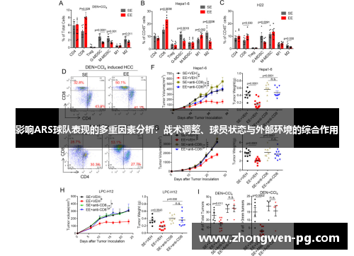 影响ARS球队表现的多重因素分析：战术调整、球员状态与外部环境的综合作用