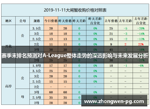 赛季末排名预测对A-League整体走势的深远影响与未来发展分析